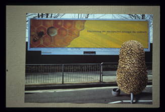 Poster to SLG exhibition: The Beekeeper (2001) - Discovering the Unexpected among the Ordinary