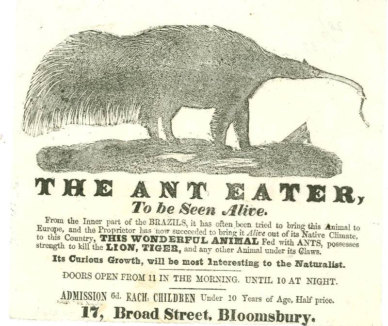 Advertisement