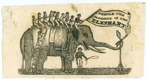 Behold the Sagacity of the Elephant