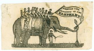 Behold the Sagacity of the Elephant