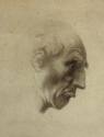 recto view (detail)