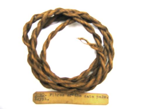 Cord