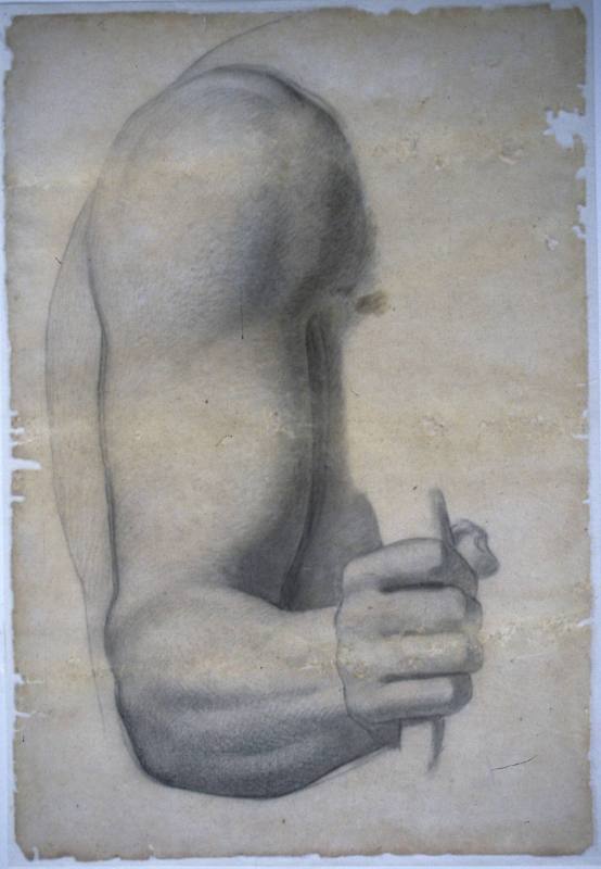Study of right arm and hand clutching staff and part of back for Wisdom