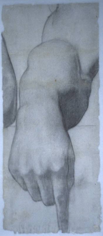 Study of right hand and arm pointed down for Erudition and fragment and an elbow