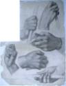 Studies