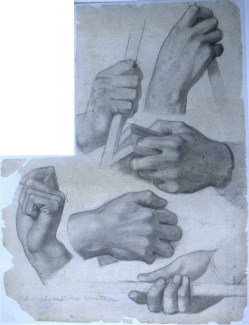 Studies