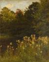 Meadow Sweet