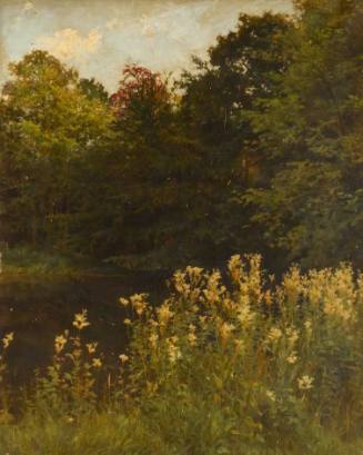 Meadow Sweet