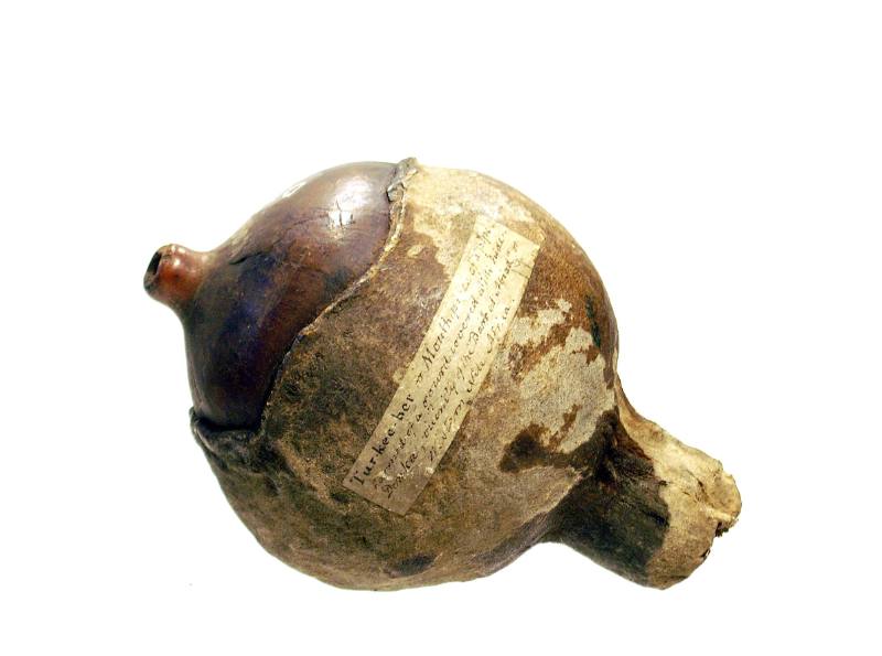 Tobacco-Pipe