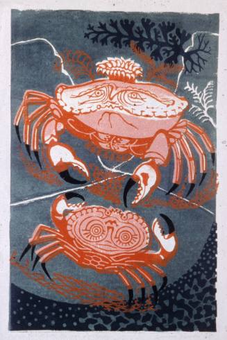 Aesop's Fables: The Old Crab & The Young
