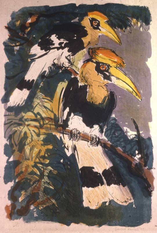 Hornbills
