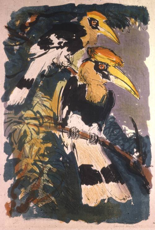 Hornbills