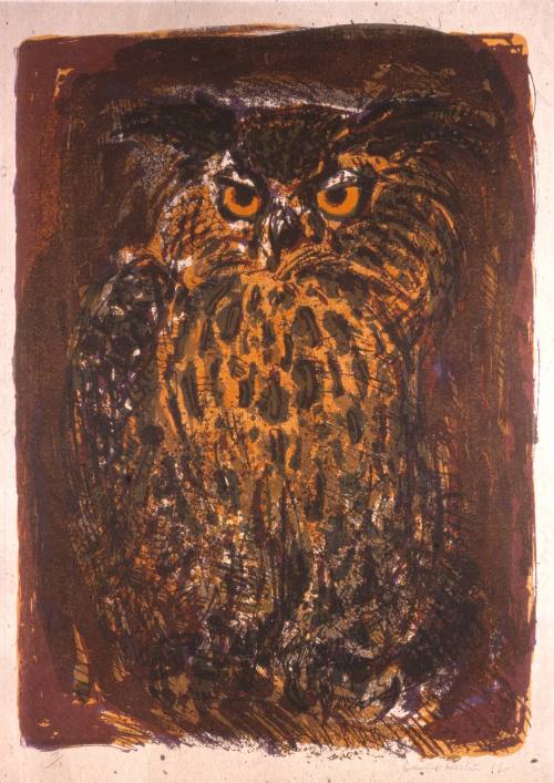 Owl