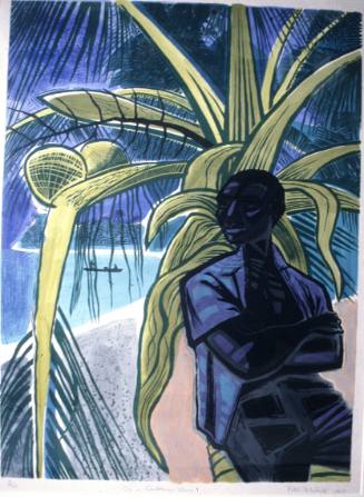 On a Carribean Shore