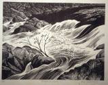 River in Spate