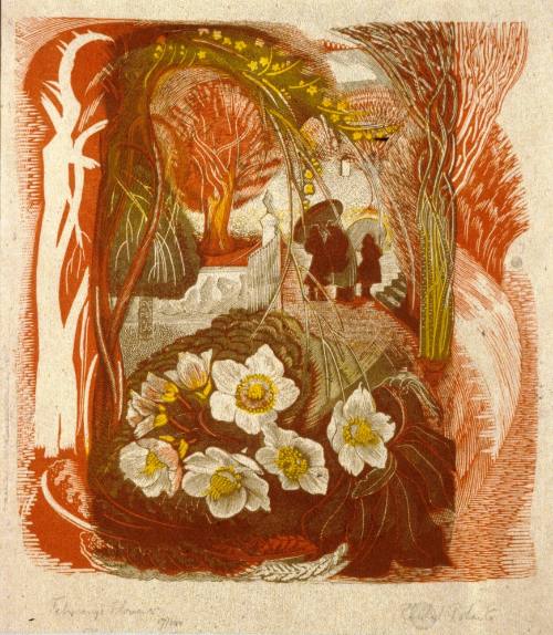 February's Flowers