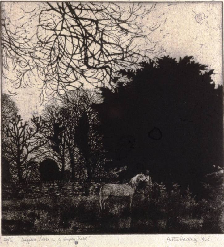 Dappled Horse in a Surrey Field
