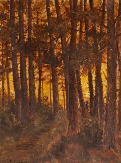 The Golden Glory of the Dying Day