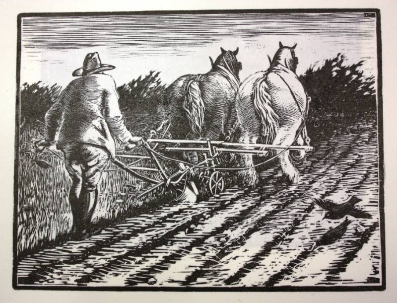 Man Ploughing