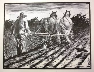 Man Ploughing
