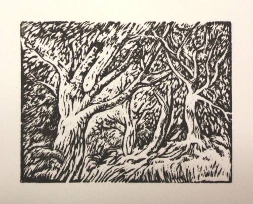 Local Trees, near Chichester