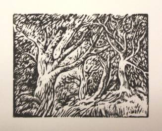 Local Trees, near Chichester