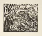 Overhanging Trees