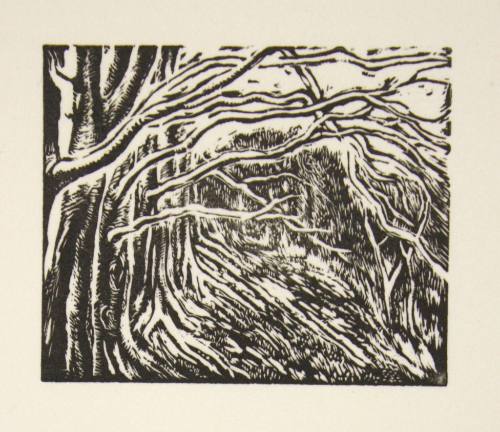 Overhanging Trees