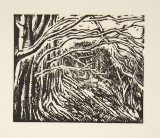Overhanging Trees
