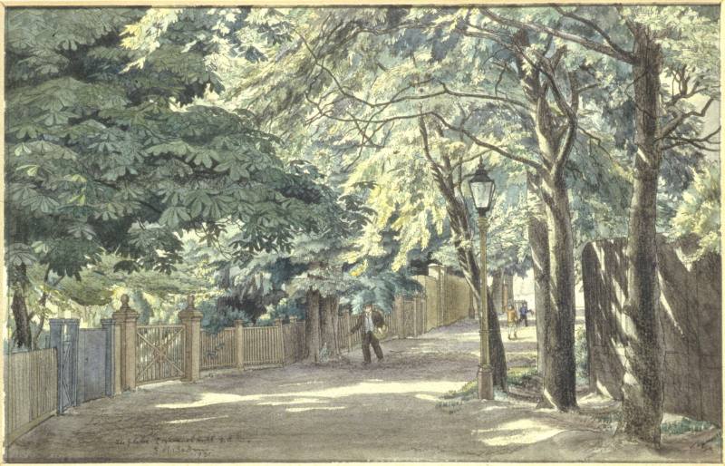 Dog Kennel Hill, The Glebe