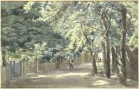Dog Kennel Hill, The Glebe