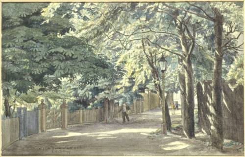 Dog Kennel Hill, The Glebe