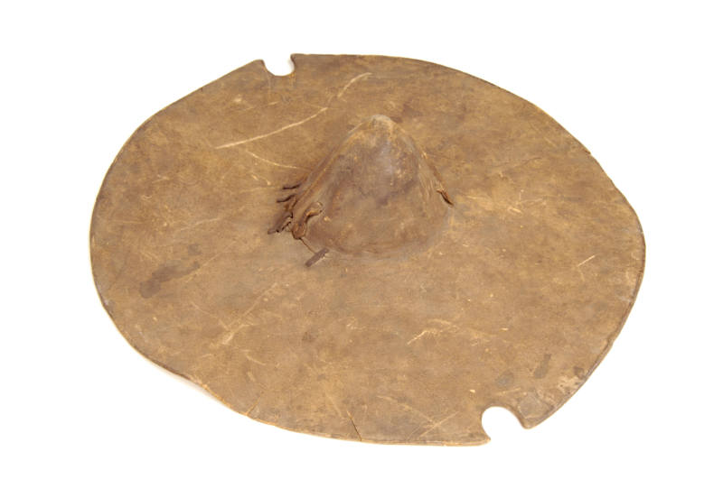 Shield