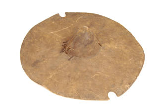 Shield