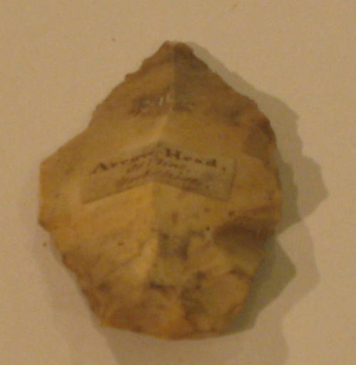 Flint arrow head. 