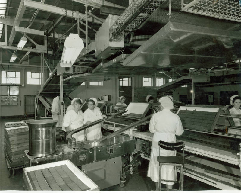 Black and white photograph of women working inside the Peek Frean biscuit factory in Durmmond R…