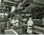Black and white photograph of women working inside the Peek Frean biscuit factory in Durmmond R…