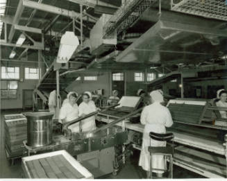 Black and white photograph of women working inside the Peek Frean biscuit factory in Durmmond R…
