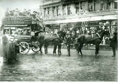 Black and white photograph depicting a four team horse bus, owned by the Thomas Tilling Bus Com…