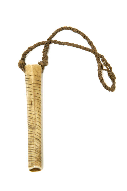 Whistle