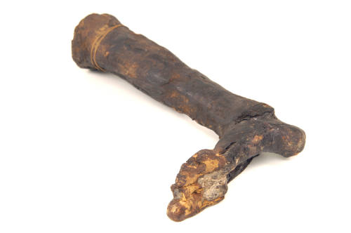 Human-Remains