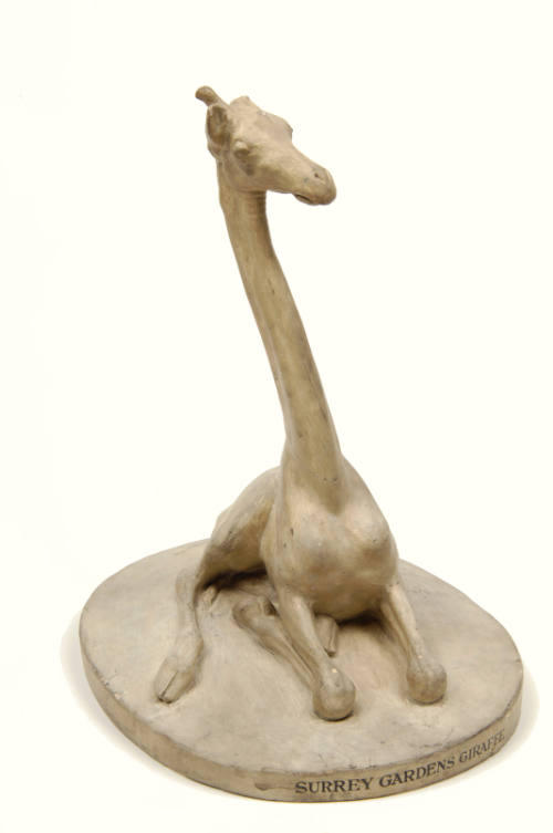 Model