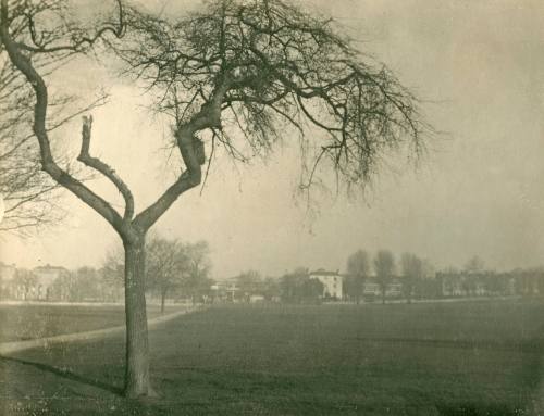 Peckham Rye, 1935