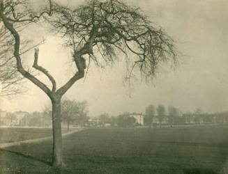 Peckham Rye, 1935